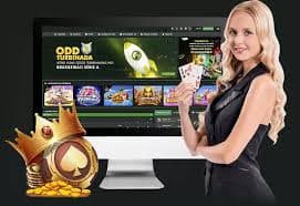 no5 slot စတင်ကစားနည်း
